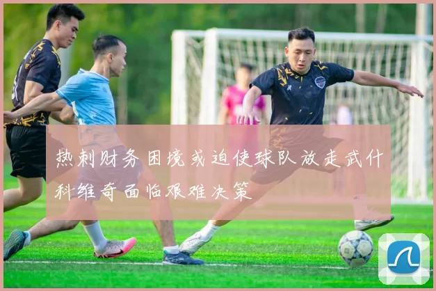 热刺财务困境或迫使球队放走武什科维奇面临艰难决策