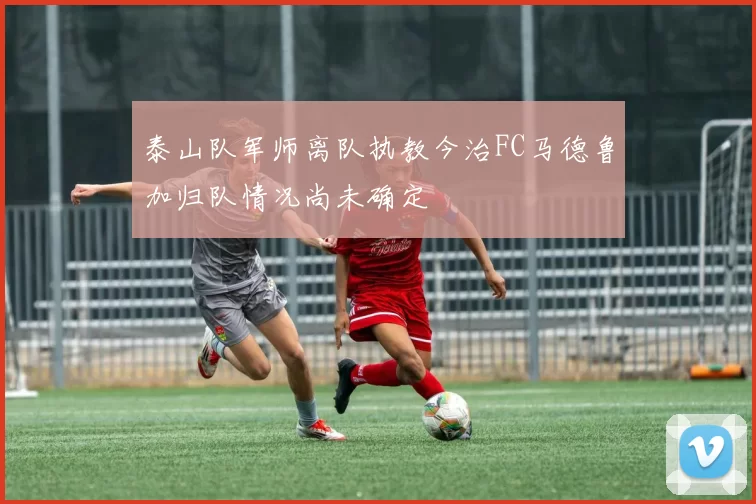 泰山队军师离队执教今治FC马德鲁加归队情况尚未确定
